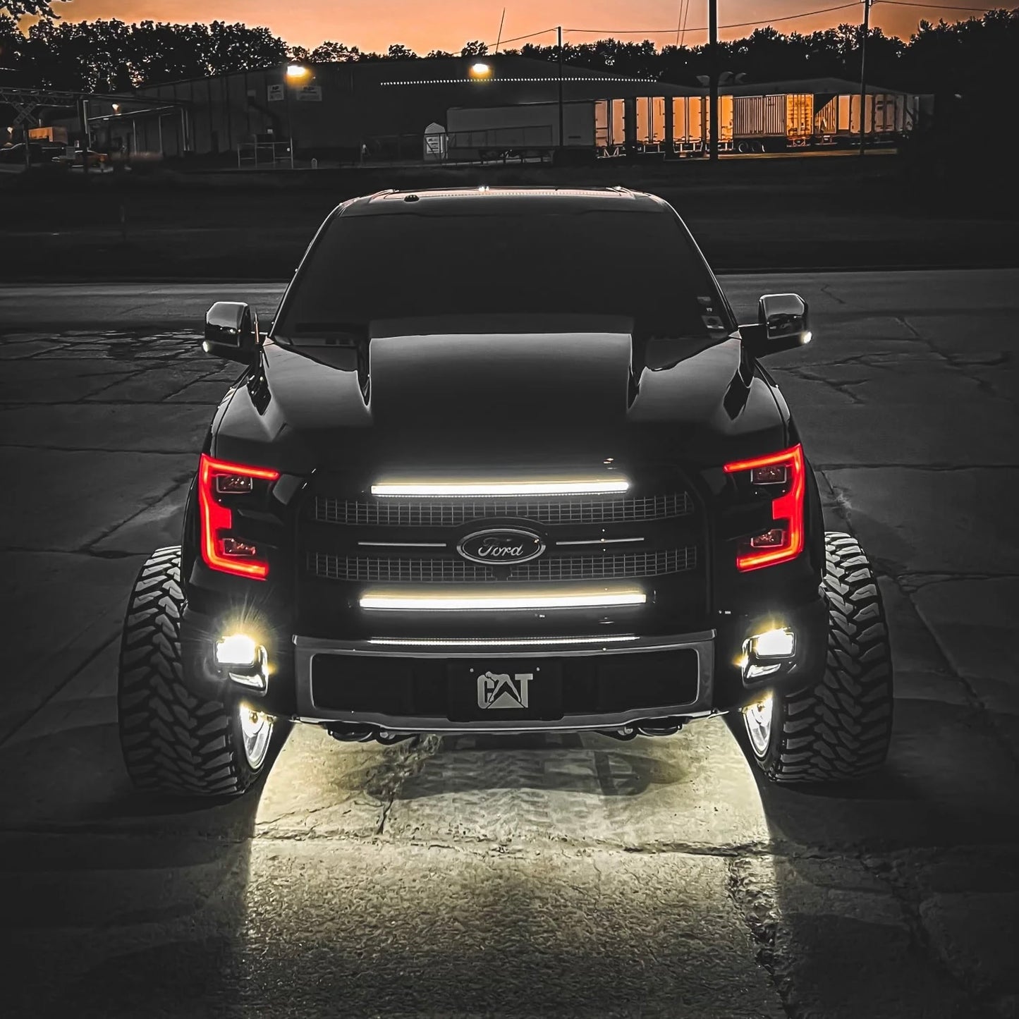 2015-2017 F150 Platinum Sequential Switchback Grill Strips
