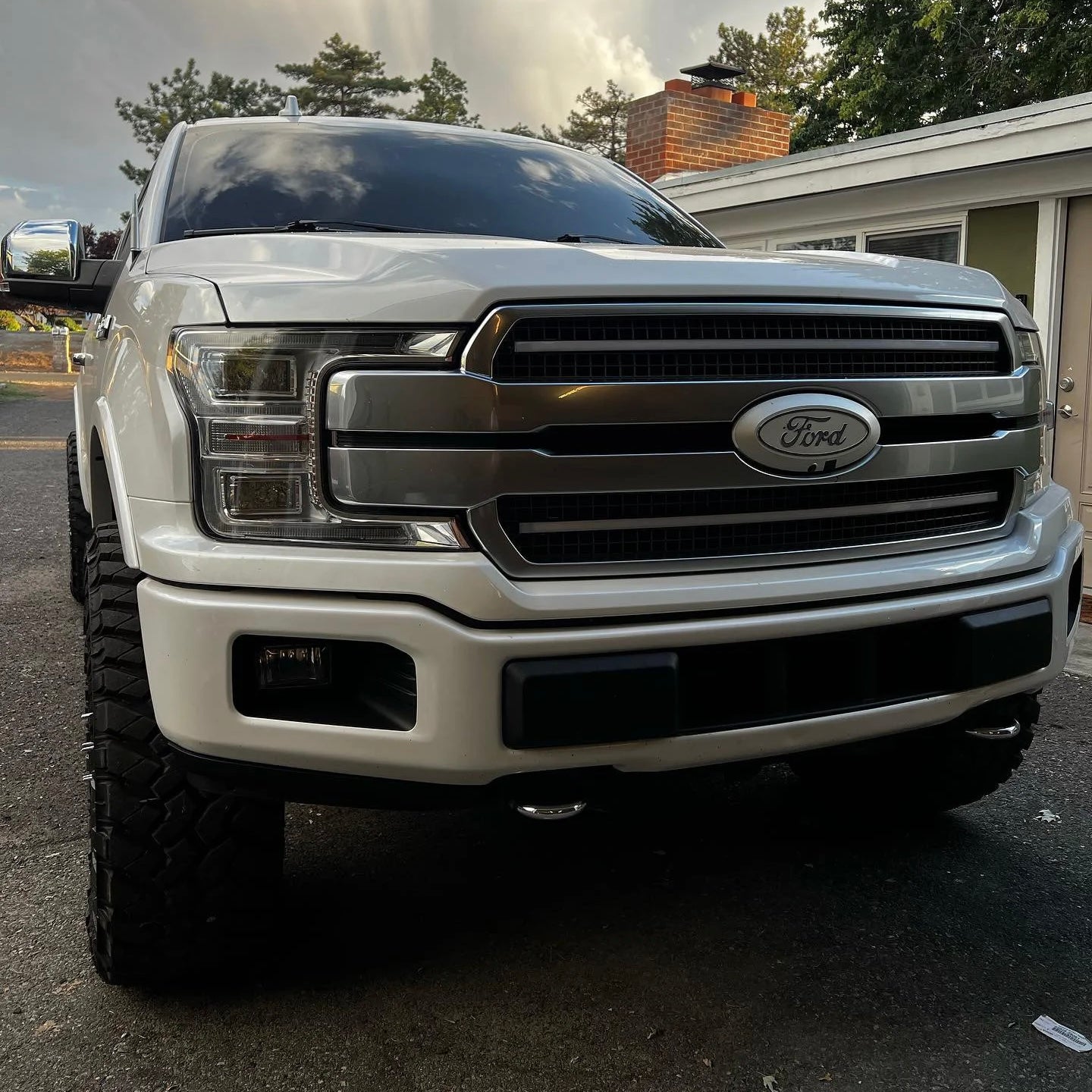 2018-2020 F150 Platinum Switchback Full Metal Grill Bars